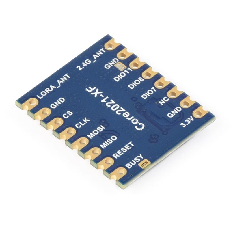 AA60 Core2021-LF LoRa Dual Ban - Smart Home Module Iot ulasan dan harga